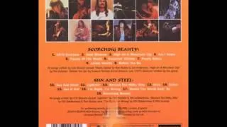 Iron Butterfly - Sun and Steel (1975)