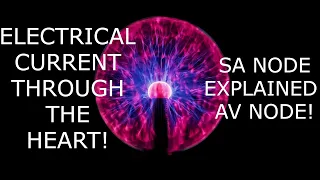 SA NODE!  Sinoatrial Node Explained!  Pacemaker of the heart explained!!