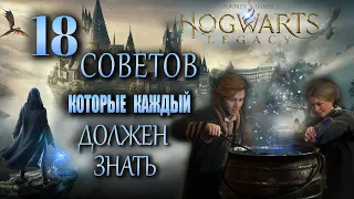 ОСНОВНЫЕ советы ДО того, как начать «Hogwarts Legacy»