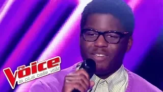 The White Stripes – Seven Nation Army | Sean | The Voice France 2013 | Blind Audition