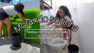 Mais uma conquista morando sozinha - Compras no mercado - faxina - um gato invadiu minha casa -