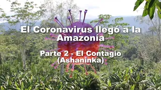 El Coronavirus llegó a la Amazonía. Parte 2: El contagio (Ashaninka)