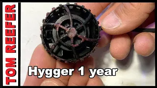 Shocking Review! - Hygger Wave After 1 Year