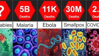 Deadliest Diseases in the History | Comparison | DataRush 24