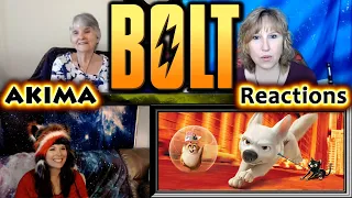 Bolt | AKIMA Reactions