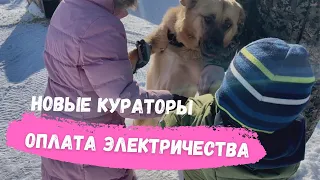 Сбор на электричество. Куратор Анна с дочкой взяла еще одного подопечного Найду.