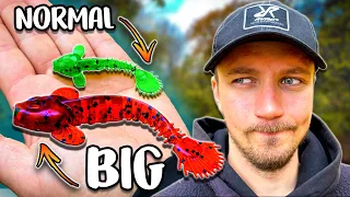 Small vs BIG Lures - What Works Best on Drop Shot?! | Team Galant