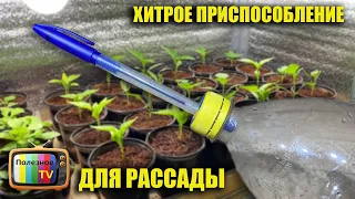 Хитрое приспособление для рассады! Сделай и себе такое.