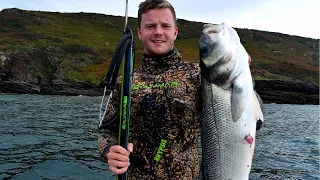 Spearfishing BIG BASS with the Salvimar Hero 115