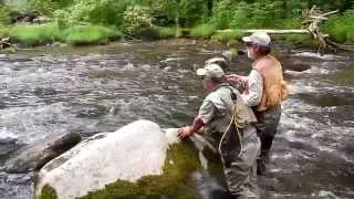Hazel Creek Trout Fishing - Great Smoky Mountain National Park