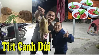 Mao Ca Trổ  Tài Đánh Tiết Canh Dúi  Siêu Ngon