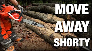 Woodpile Domination: ECHO Long Bar Chainsaw!