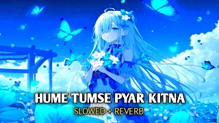 Hume Tumse Pyar Kitna (Slowed + Reverb) Shreya Ghoshal | Female Version | Lofi World Song 077