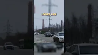 Bear chasing a man in Russia