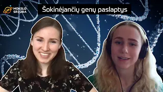 Šokinėjančių genų paslaptys | „Mokslo sriubos“ podcast’as #113