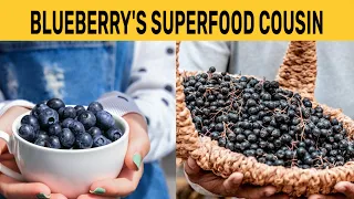 Aronia Berries: The Surprise Superfood (aka Chokeberries)
