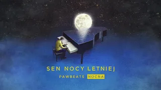 Pawbeats ft. Linia Nocna x be vis - Sen nocy letniej