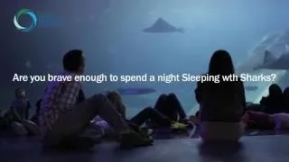 Sleeping with Sharks Sleepovers!