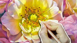 Drawing REALISTIC Flowers! 8 Pro TIPS for Colored Pencil Artists