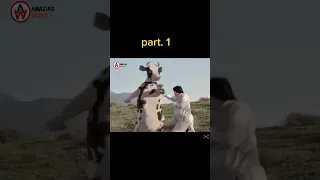 Scene | Funny Movie | cow Hollywood Funny part 1 Film | Ful HD