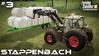 Silage Bale & Fertilizing Contracts - Stappenbach #3 Farming Simulator 19 Timelapse - Seasons