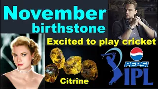 November to excited to play Cricket_Birthstone_Citrine, Topaz/11월 탄생보석_황수정, 토파즈, 11월 탄생꽃_국화(한글자막)