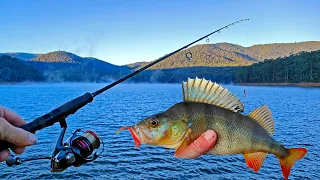 Cold Morning Redfin Perch Fishing Success