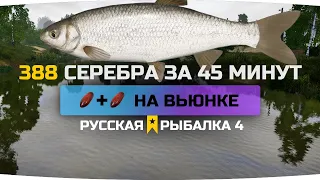 Фарм СЕРЕБРА на ВЬЮНКЕ ● Русская рыбалка 4 ● Полный елец!