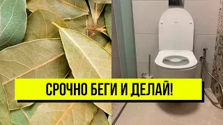 Лавровый лист спасет ваш туалет! Срочно беги и делай - вы будете в шоке: домашние будут в восторге!