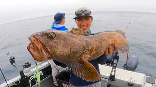 Traveling 100 Miles to Find a HIDDEN REEF Loaded with Big Fish