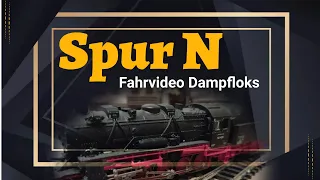 Spur N - Fahrvideo Dampfloks