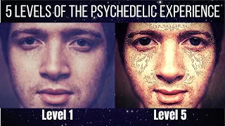 5 Levels of Perception of the Psychedelic Experience