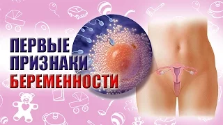 ПЕРВЫЕ ПРИЗНАКИ БЕРЕМЕННОСТИ. САМЫЕ ПЕРВЫЕ ПРИЗНАКИ БЕРЕМЕННОСТИ ДО ЗАДЕРЖКИ