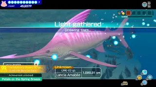 Endless Ocean Luminous Playthrough Part 11 (Lancia Amabile)