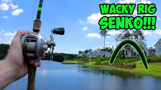 EPIC Wacky Rigged SENKO Bass Fishing!!! | Bass Fishing With Senkos!