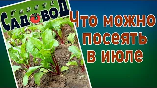 Что можно посеять в июле