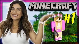 ΞΕΚΙΝΑΩ ΤΟΝ ΚΟΣΜΟ ΜΟΥ ΣΤΟ MINECRAFT *ΔΕΝ ΠΗΓΕ ΚΑΛΑ*