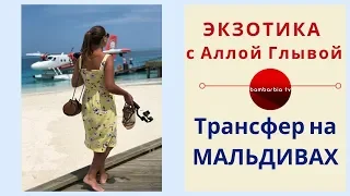 ЭКЗОТИКА КАК ОНА ЕСТЬ: трансфер на Мальдивах