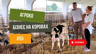 ВРХ🐄 Як працює коров’яча ферма 🚜Комбікормовий завод, корови та телята 🐮