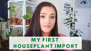 FIRST HOUSEPLANT IMPORT | AROIDASIA | HOUSEPLANT UNBOXING | Rare Houseplants  Indoor Plants