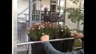 Senkscheibensystem - Balkon ohne Wind