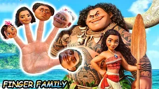 ★ MOANA Finger Family Song ★ DISNEY Daddy Finger Nursery Rhyme by ANIMALSKETCH w/ MAUI & BABY MOANA★