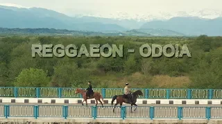 REGGAEON - ოდოია | odoia (Official Video)