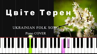 ЦВІТЕ ТЕРЕН  Ukrainian Folk Song  Piano Cover  Synthesia Piano Tutorial