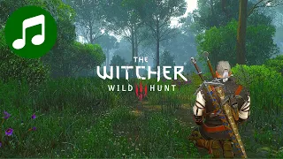 Meditate Like A WITCHER 🎵 Relaxing Music ( Soundtrack | OST | Netflix )