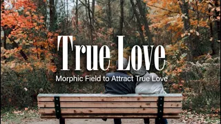 Attract True Love (Morphic Field)