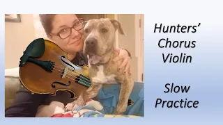 Hunters' Chorus Violin Suzuki Book 2 Slow Practice
