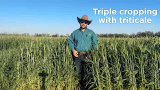 Triple Cropping with Triticale in the Southeast US