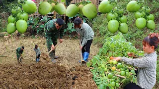 Building a new life episode 54 | build big wooden house and big vegetable garden