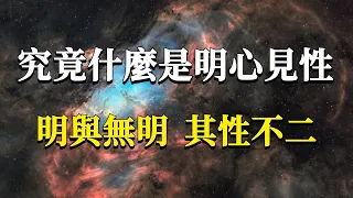 究竟什麼是明心見性？千萬別在把它當成開悟的標準了，這樣只會讓你越走越偏！明與無明，其性不二！#能量#業力 #宇宙 #精神 #提升 #靈魂 #財富 #認知覺醒 #修行